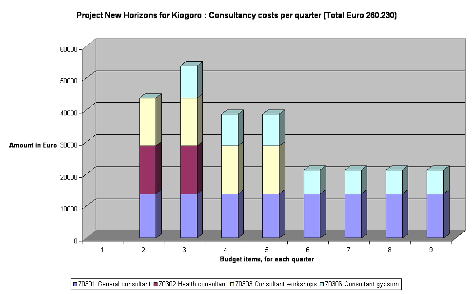 Project New Horizons for Kiogoro : Consultancy costs per quarter (Total Euro 260.230)