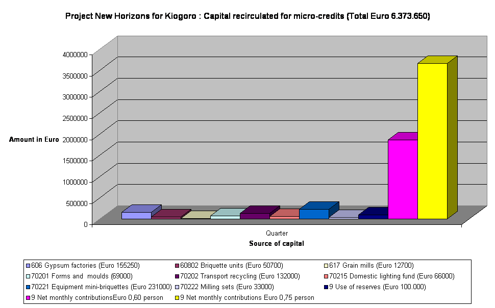 Project New Horizons for Kiogoro : Capital recirculated for micro-credits (Total Euro 6.373.650) 