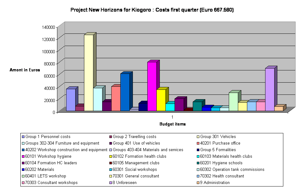 Project New Horizons for Kiogoro : Costs first quarter (Euro 667.580)